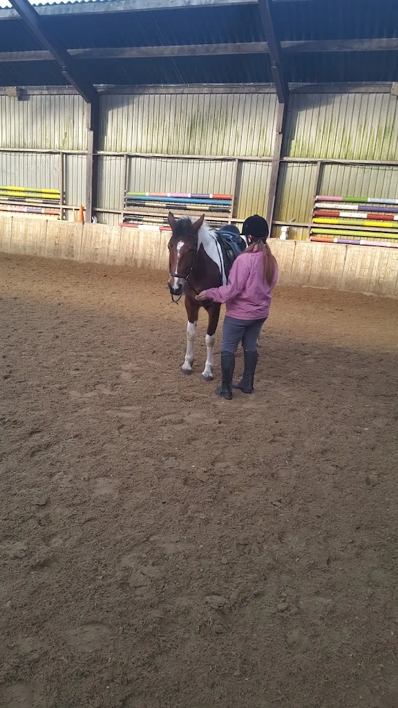 Manege De Hoef - foto 2