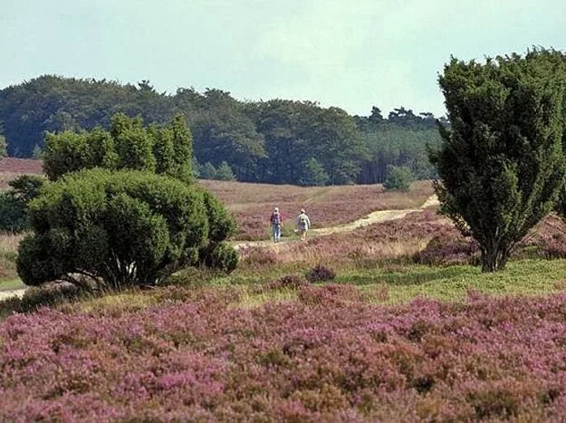 Stal Donkers - foto 1