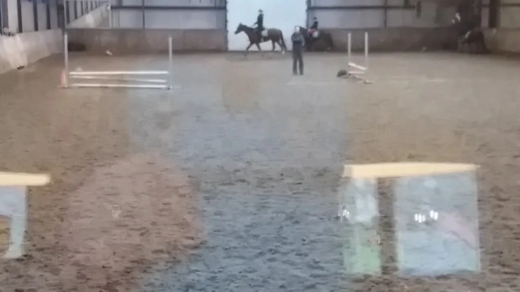 Manege de Bongerd B.V. - foto 2