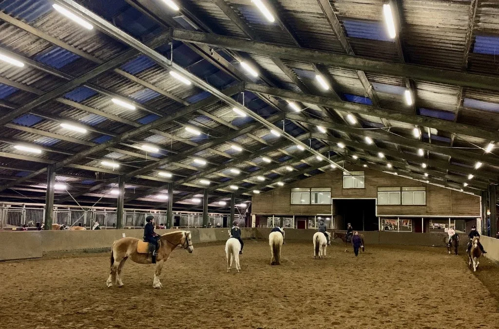 Manege de Bongerd B.V. - foto 3