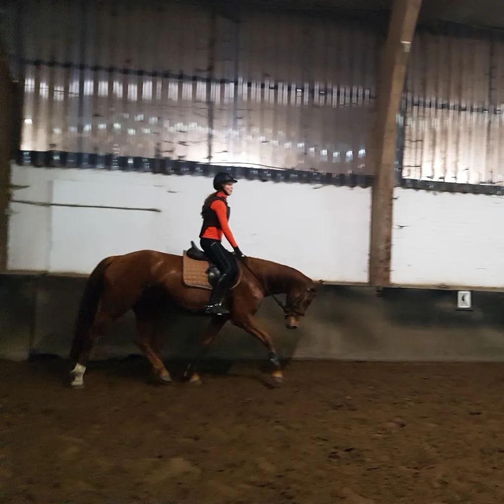 Manege "ars-longa" - foto 1