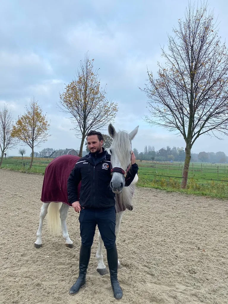 Any Dale Hippique - foto 1
