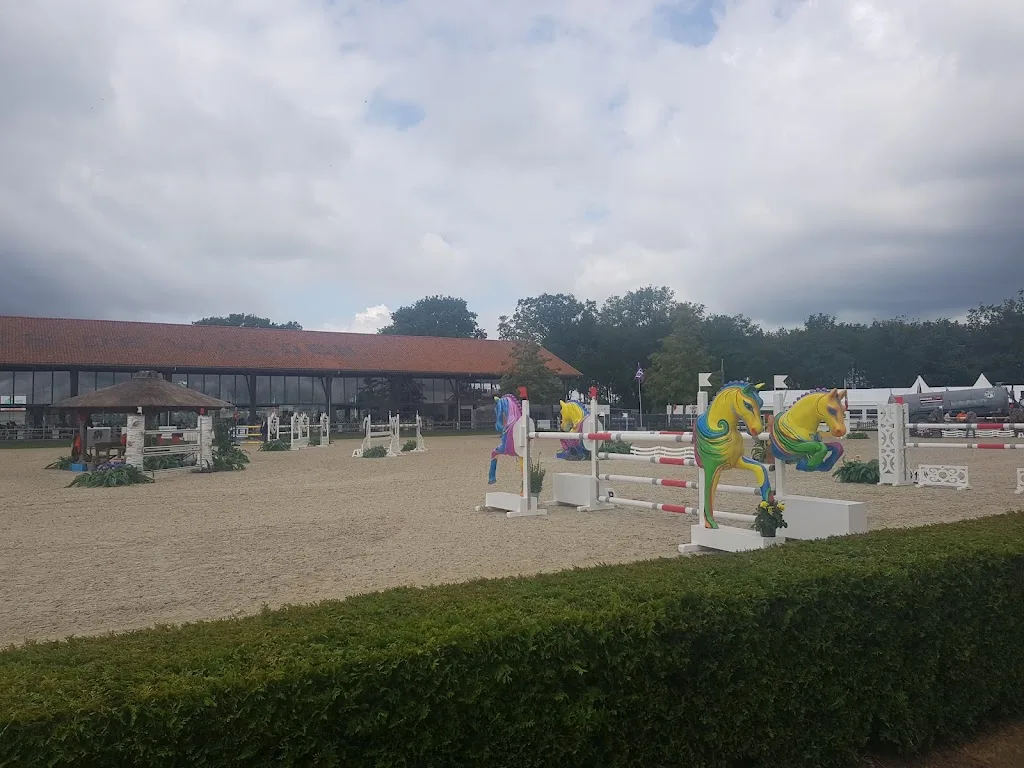 Dressuur- en Africhtingsstal Annemieke Krom B.V. - foto 1
