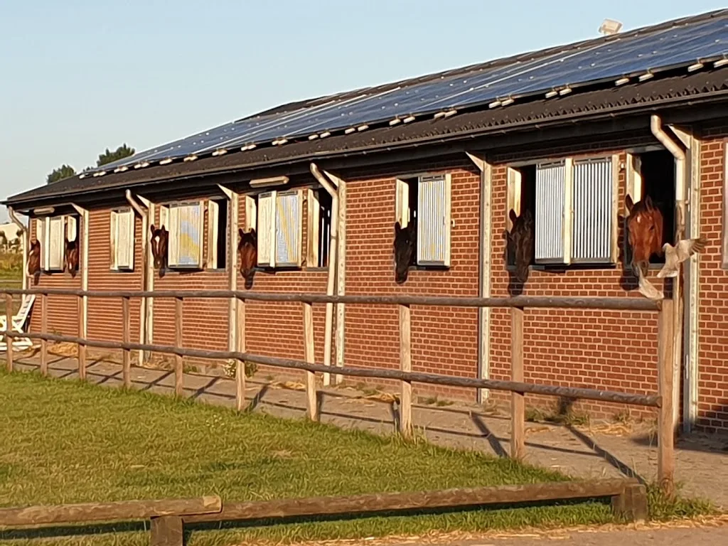 Mearas Stables B.V. - foto 2