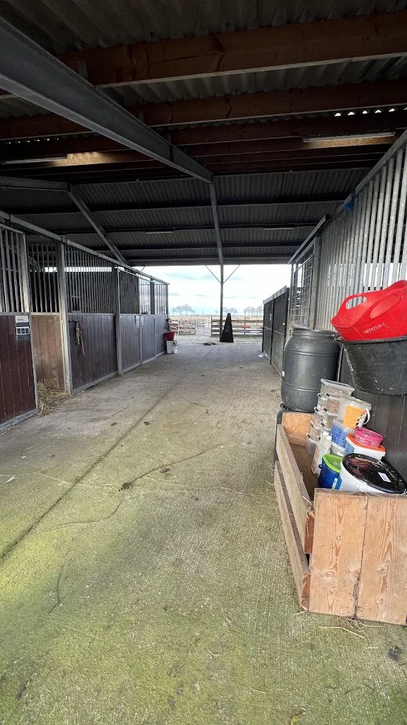 Black Pearl Hoeve - foto 1