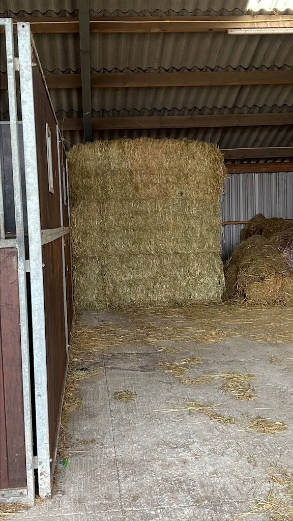 Black Pearl Hoeve - foto 2