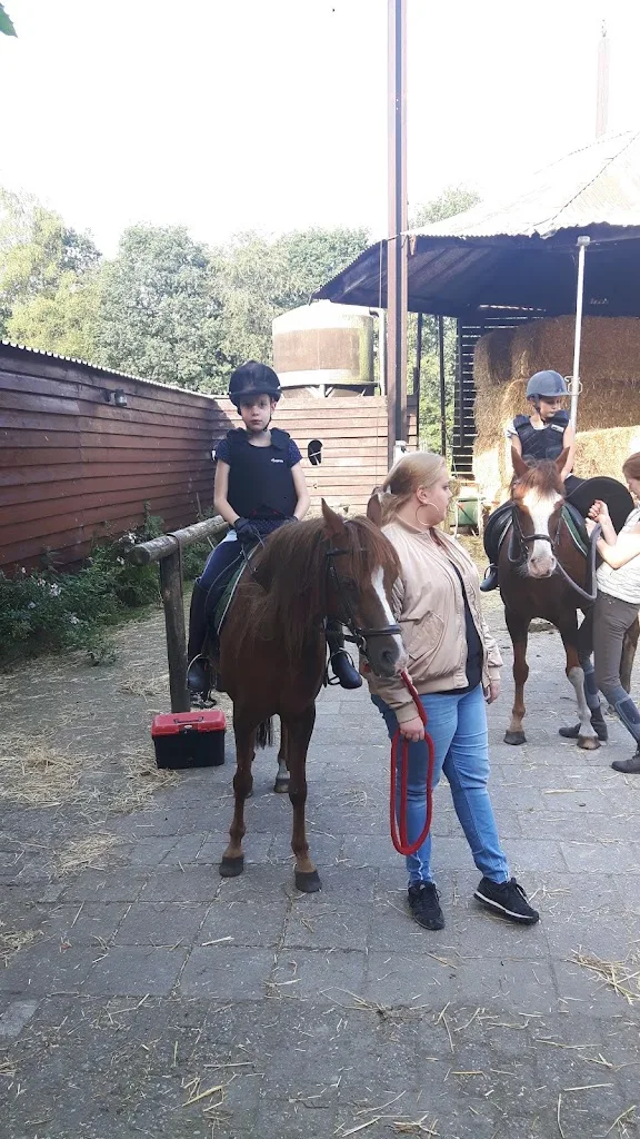 Gids te paard op de Veluwe - foto 3