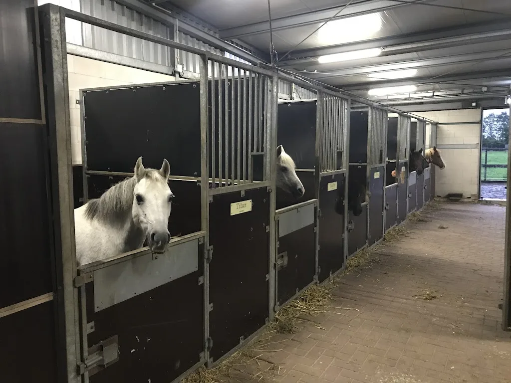 Paardenhof Manege De - foto 1
