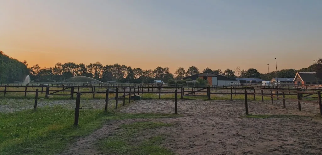 D-Sportstables - foto 2