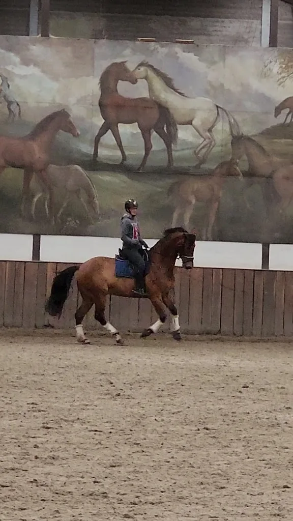 Wolfshoeve Training - foto 2