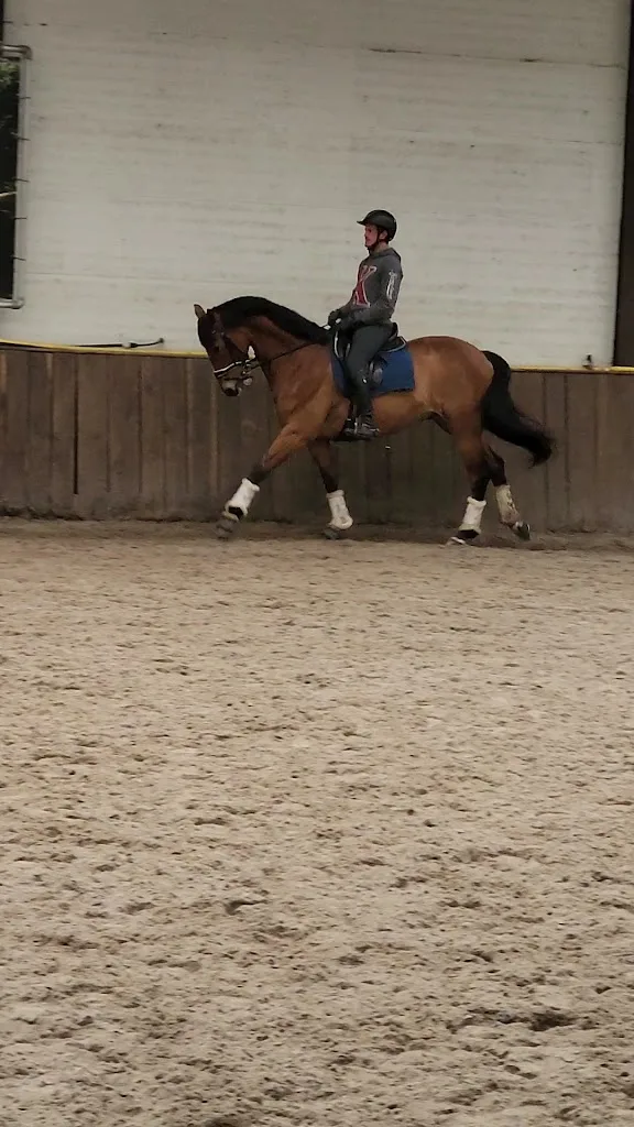 Wolfshoeve Training - foto 3