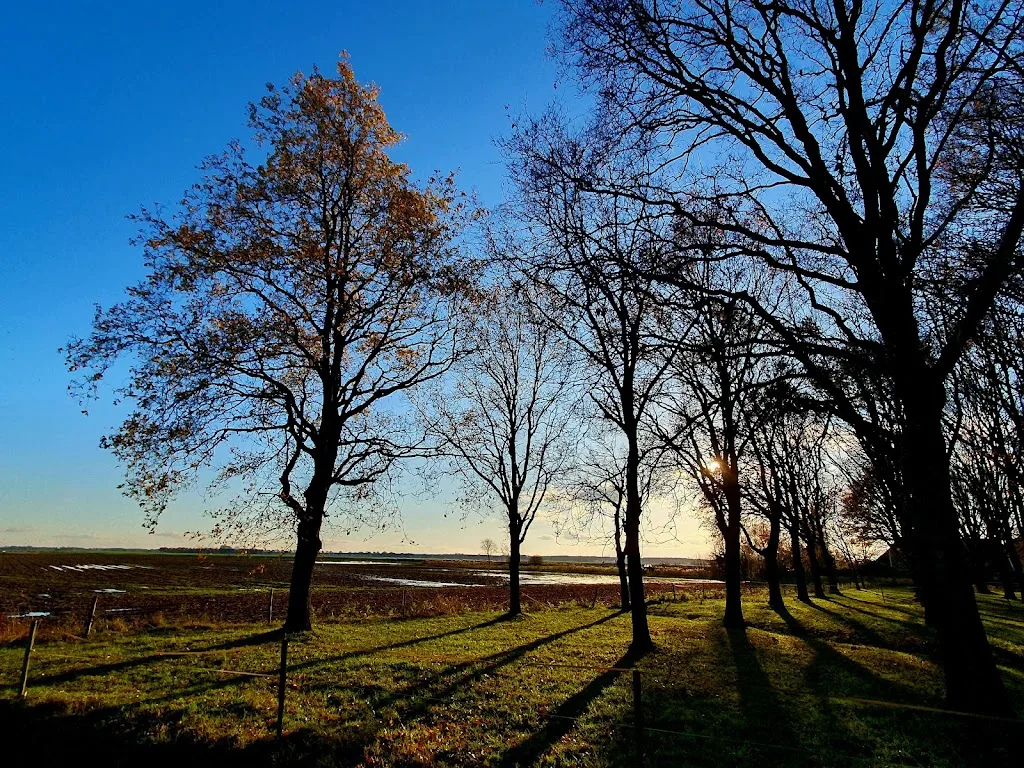 Stoeterij 't Bonnerhof - foto 2