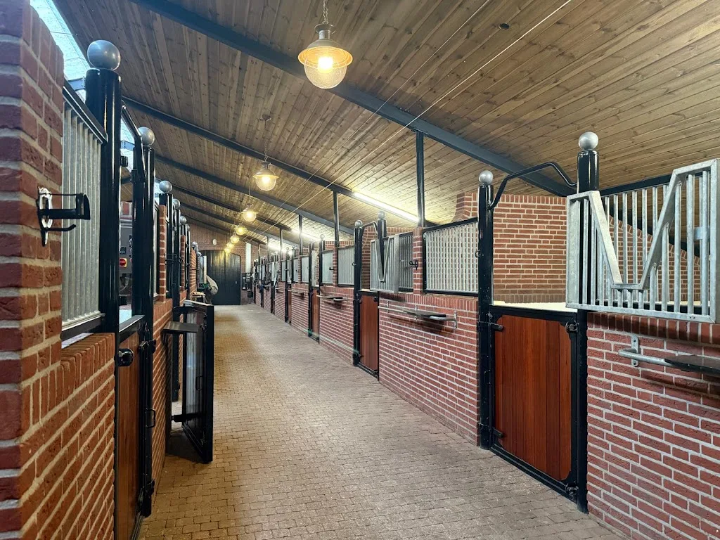Stal de Wittehoeve - foto 2