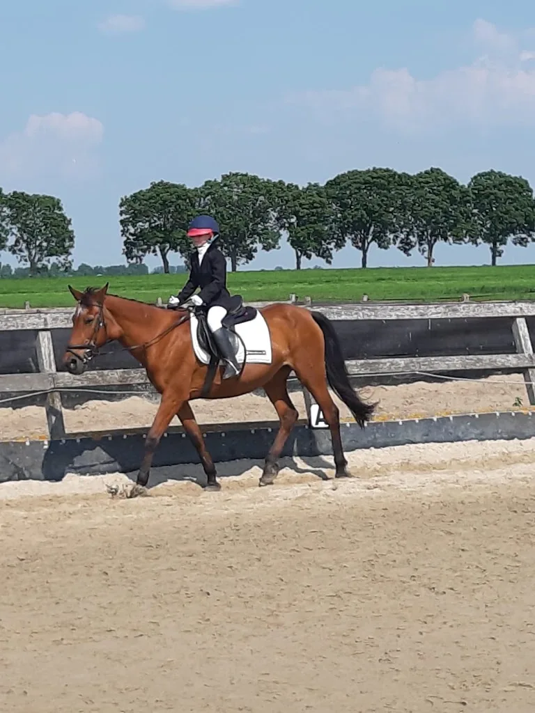 Stal Brouwer Zadelpret - foto 1