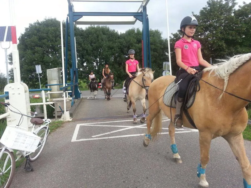 Stal Brouwer Zadelpret - foto 2