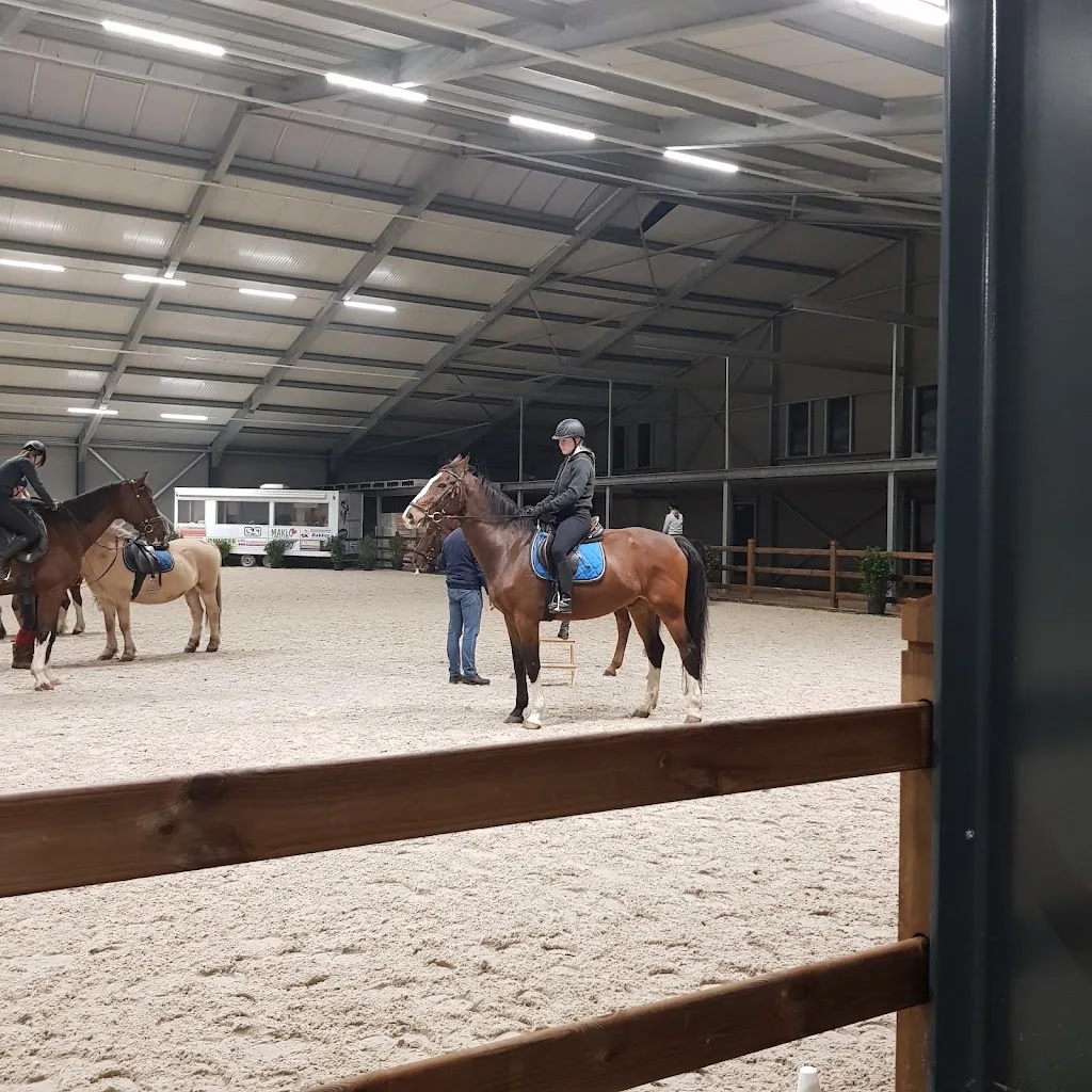 Hedde Jan Cazemier Manege - foto 1