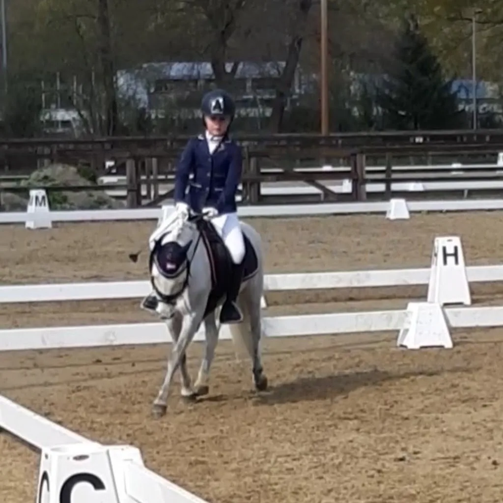 Stal Blue Lines Stables - foto 2