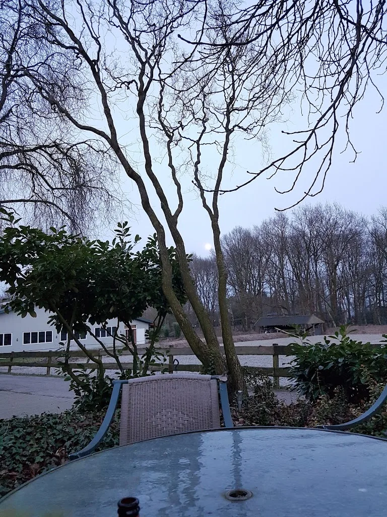 W&L Stables - foto 3