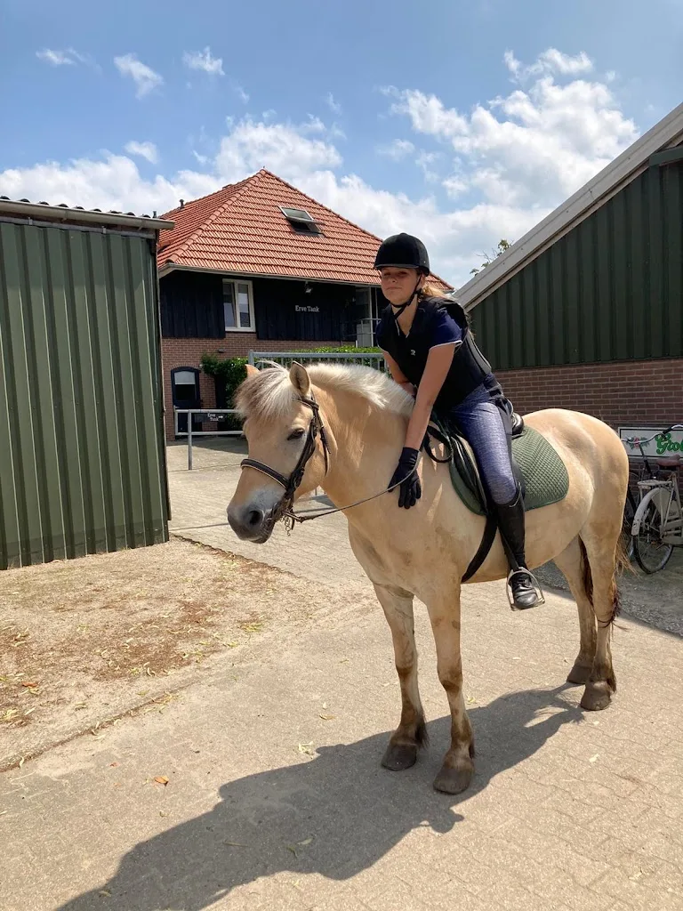 Manege Nijhuis - foto 2