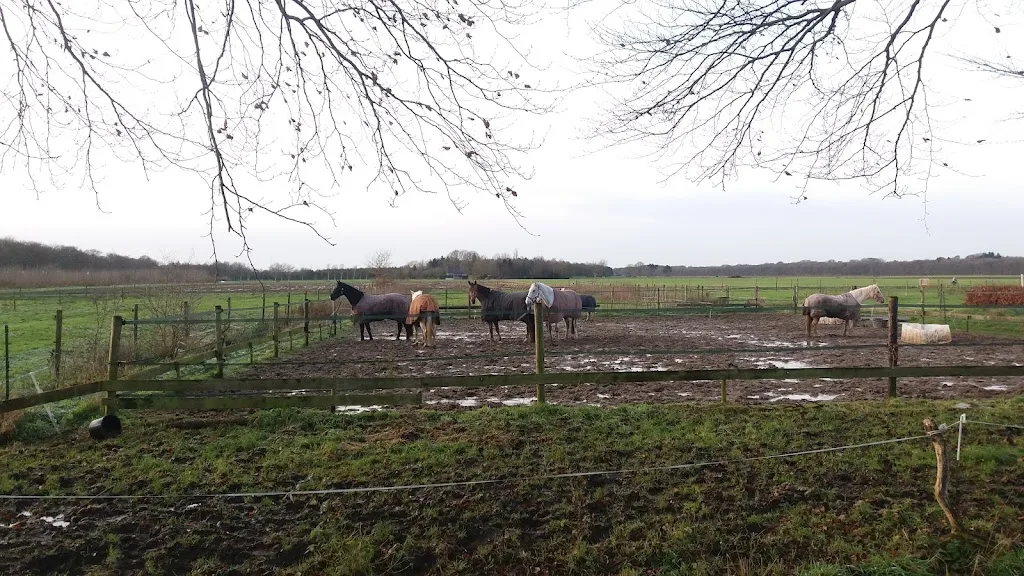 Stal "nooit gedacht" - foto 1