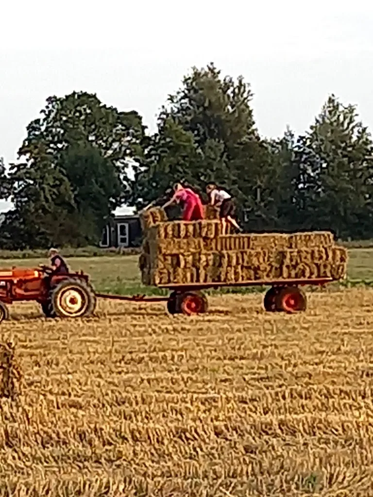 Hynstehiem - foto 2