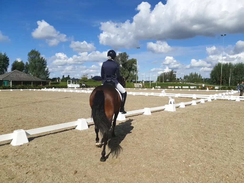 Rijvereniging en Ponyclub Oranje Ruiters van Willemstad - foto 1