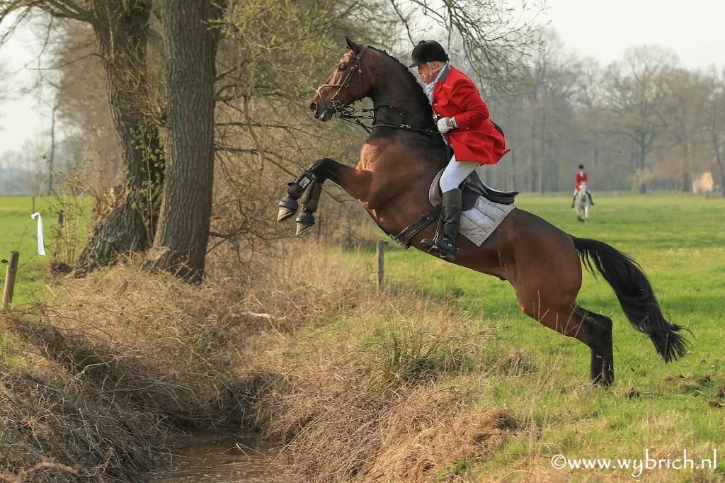 The Hunters Den - foto 1