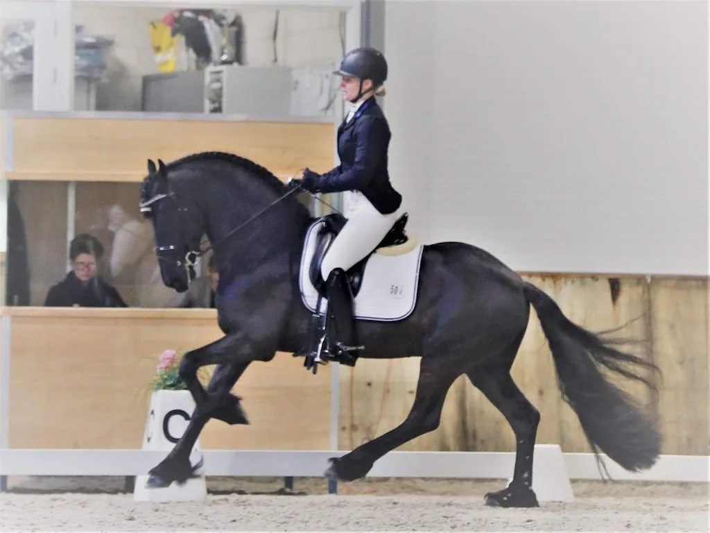 Manege de Vierhoeven - foto 1