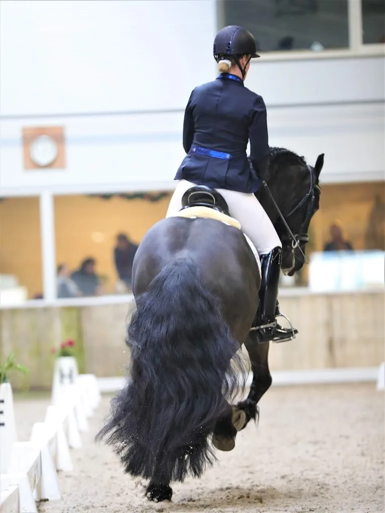 Manege de Vierhoeven - foto 2