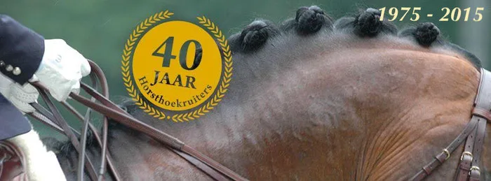 Stal Counotte, Hippische Dienstverlening, Instructie & Training - foto 2