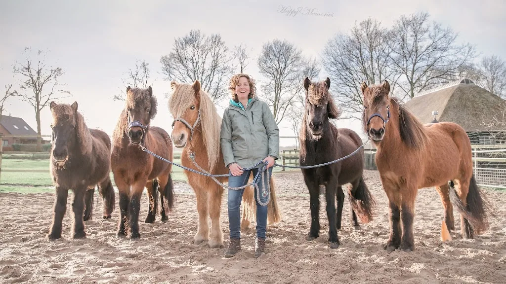 Het Paardenmiddel - foto 1