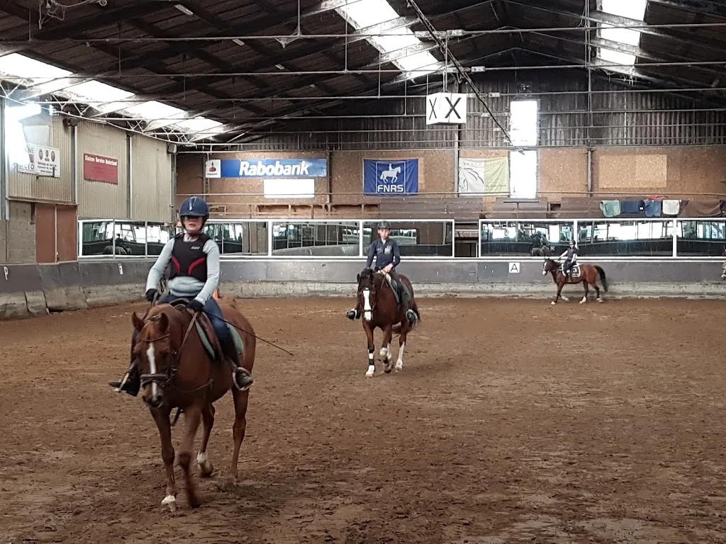 Paardentaxi Paard B.V. - foto 2