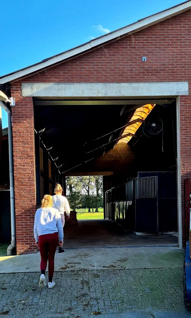 Stal Dijkers - foto 1