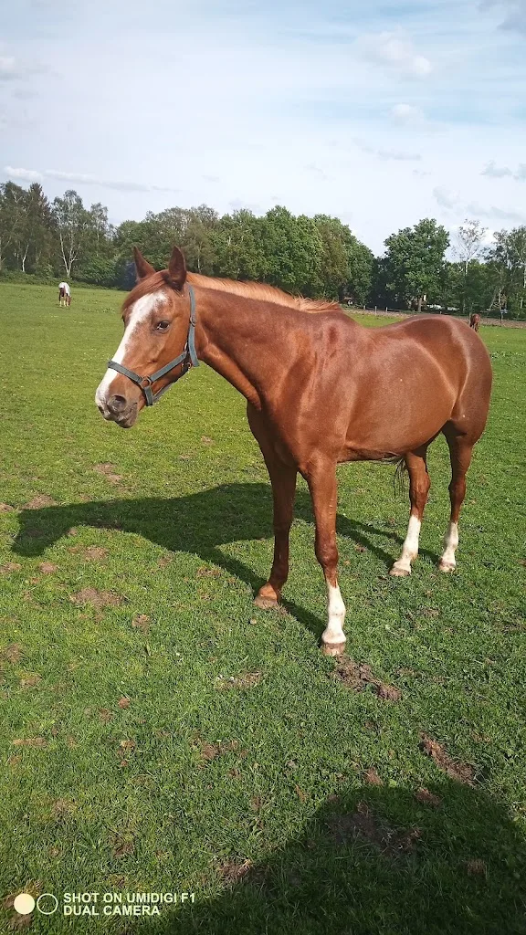Corien Yspeerd - foto 2