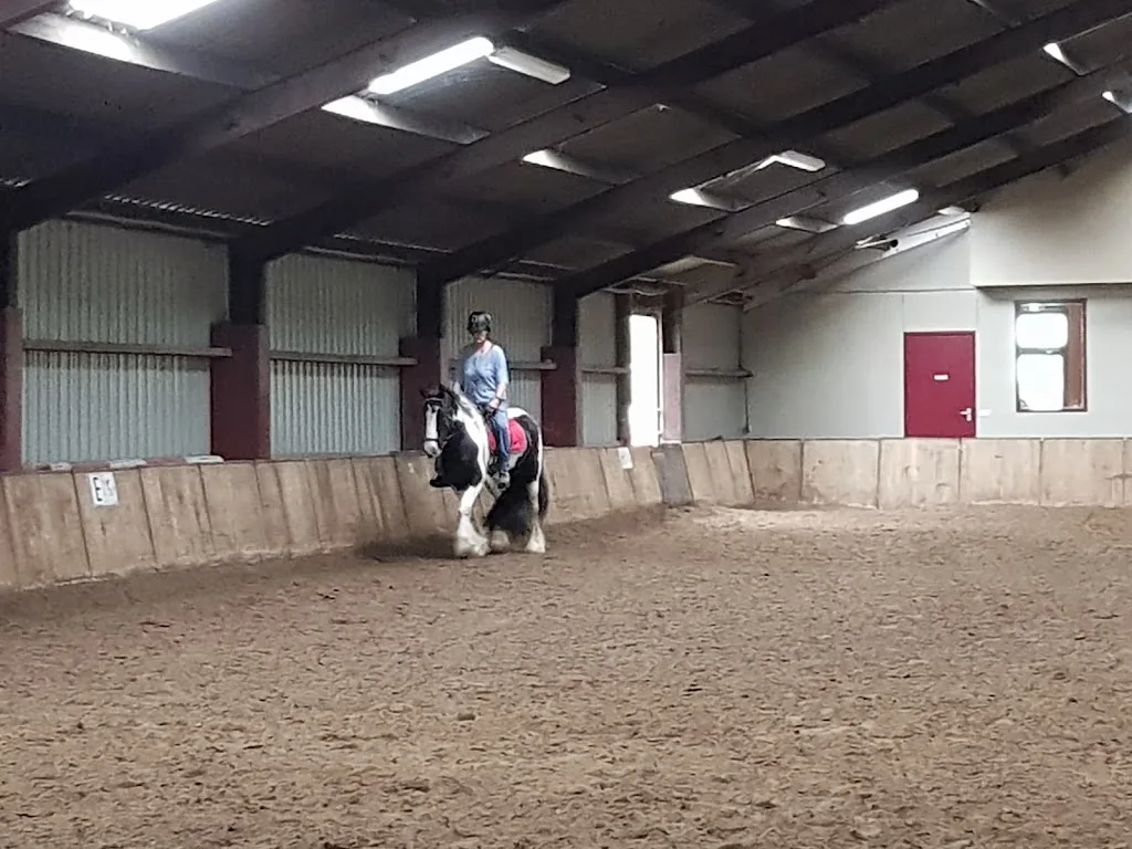 Manege de Hynsteblom - foto 2