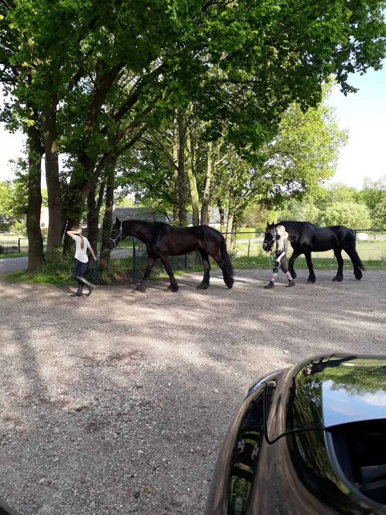 Stal D'n eerste stap - foto 1