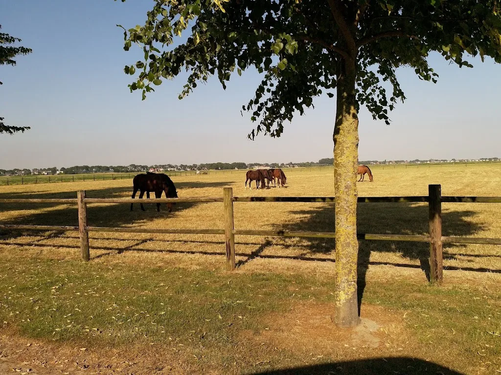 Hofstede De Eendracht - foto 1