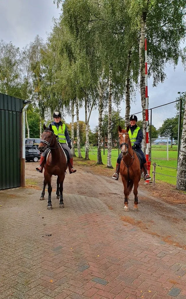Stoeterij Sprengendal - foto 3