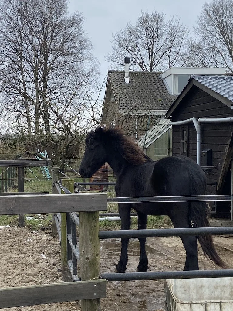 Stal van Beijnum - foto 1