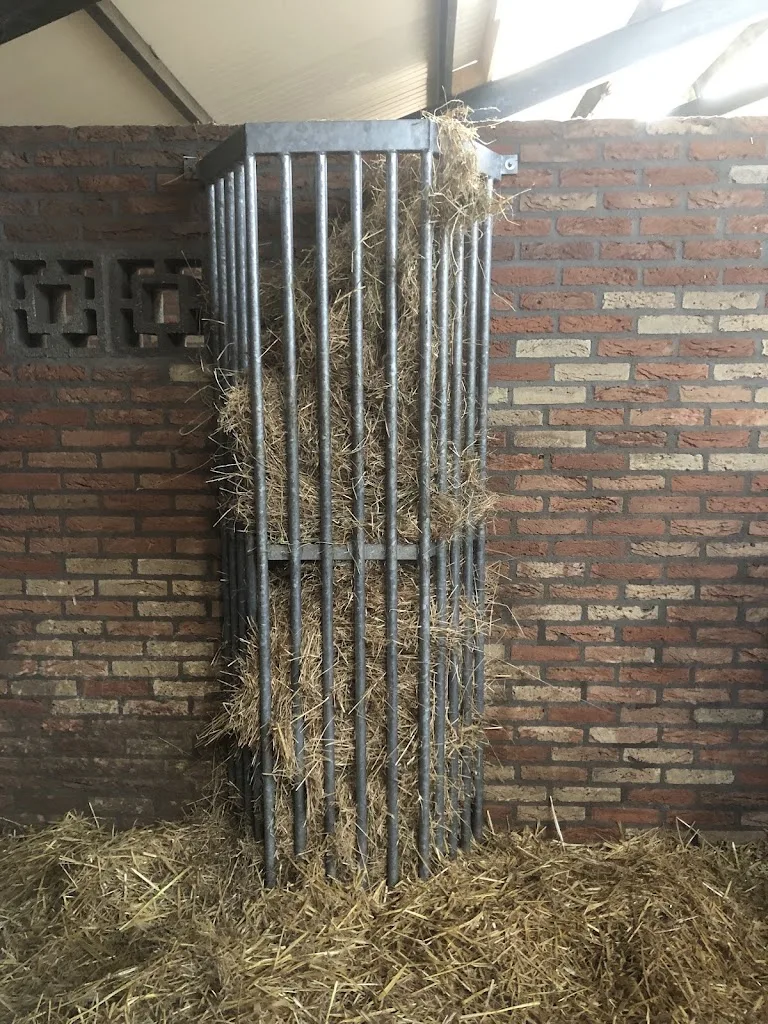 Lips Stables paardenpension - foto 2