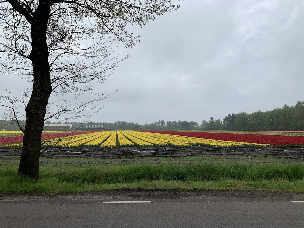 Stal Laarakkers Vledderveen - foto 2
