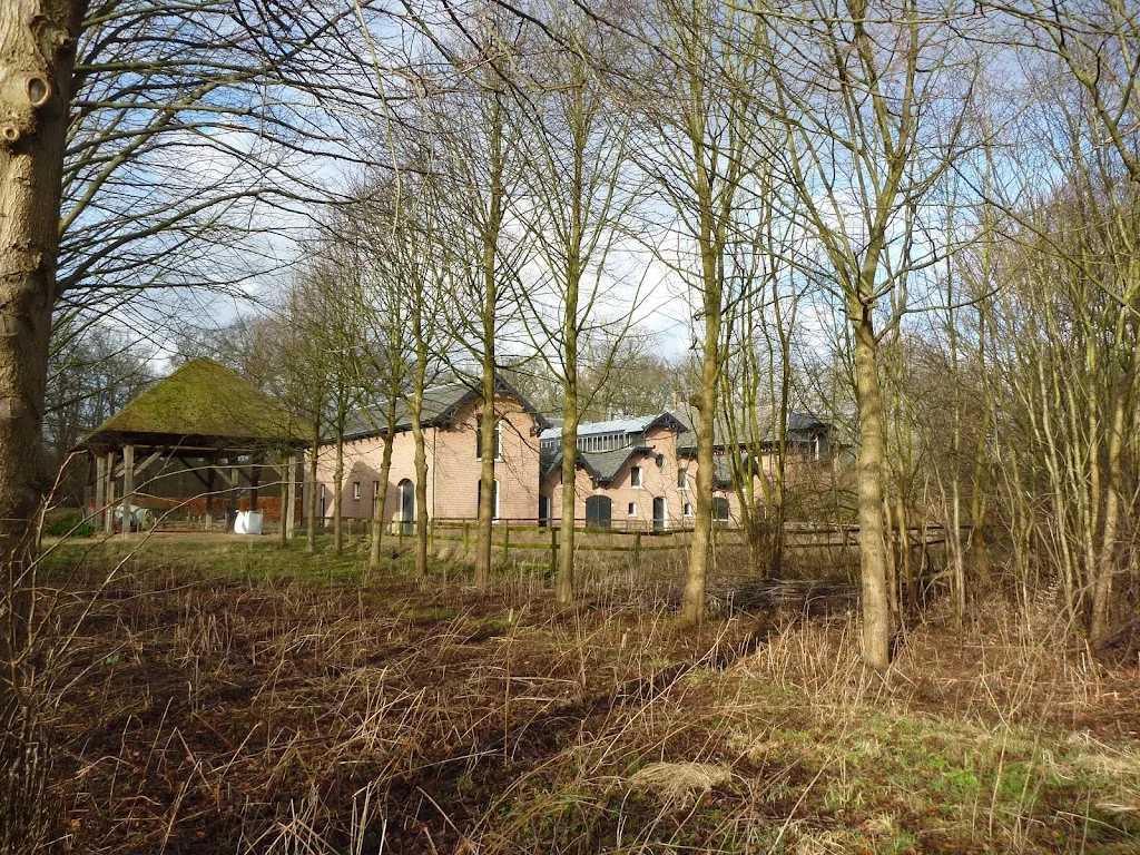 Stal Elswout - foto 1