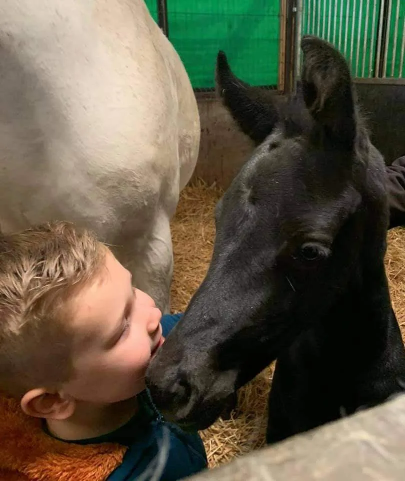Paardenopfok Culemborg - foto 2