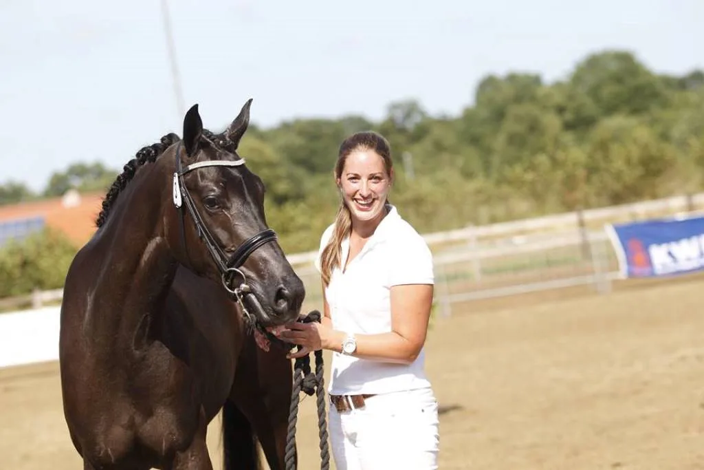 Trainingsstal Dynamis VOF - foto 3