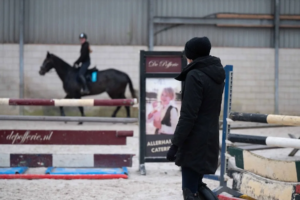 Daisy’s Dawn – Paard & Ruiter Academy - foto 1
