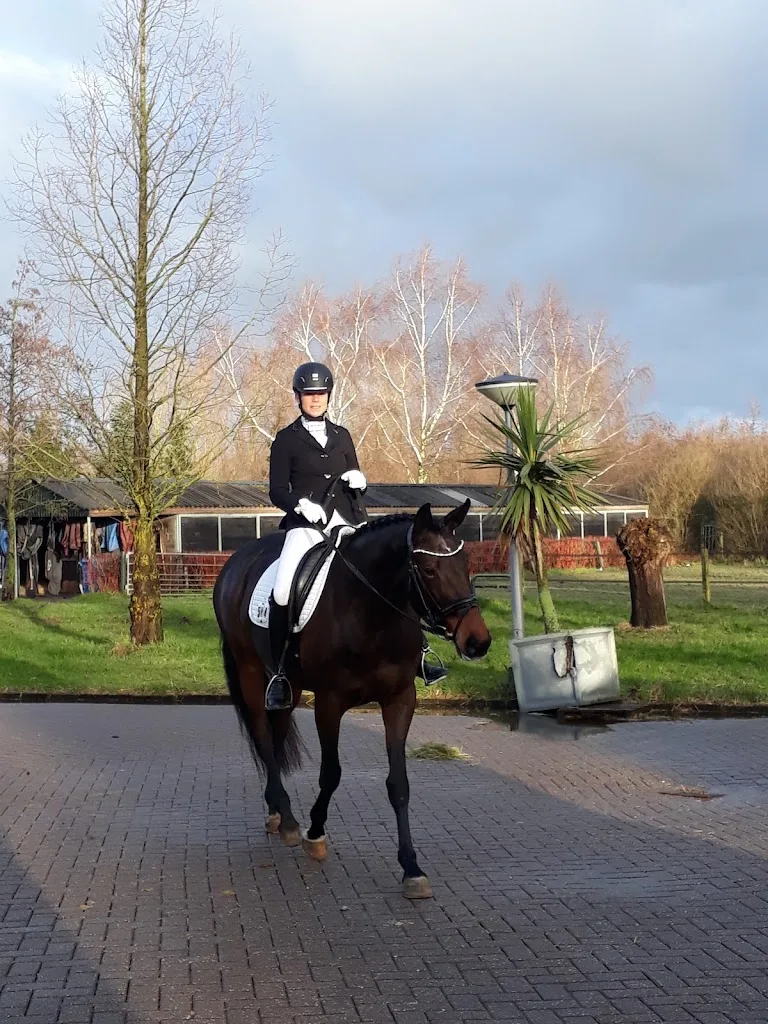 Stal van Wijgerden - foto 1