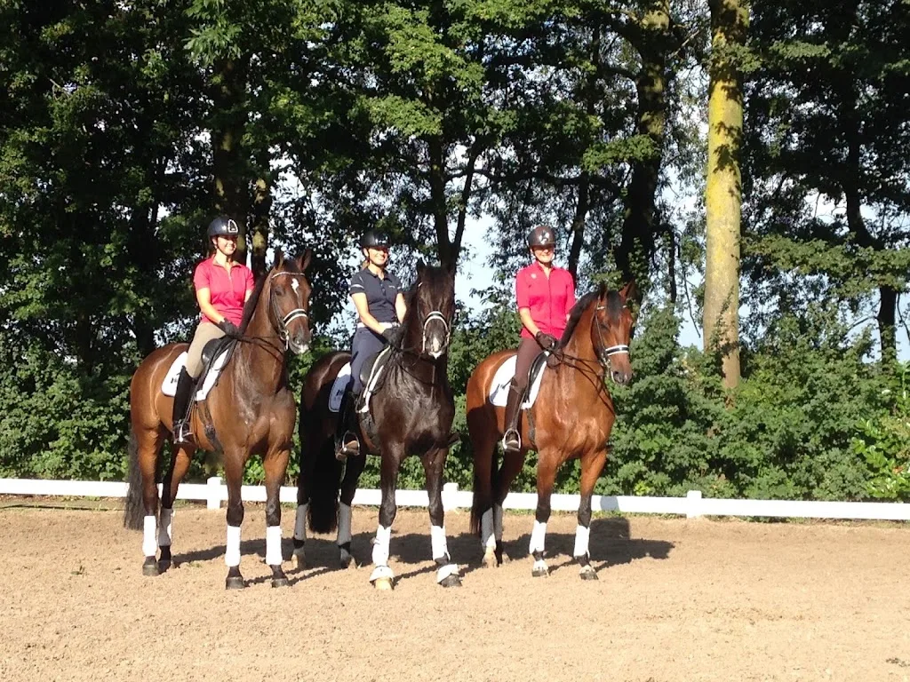 Stal van Wijgerden - foto 2
