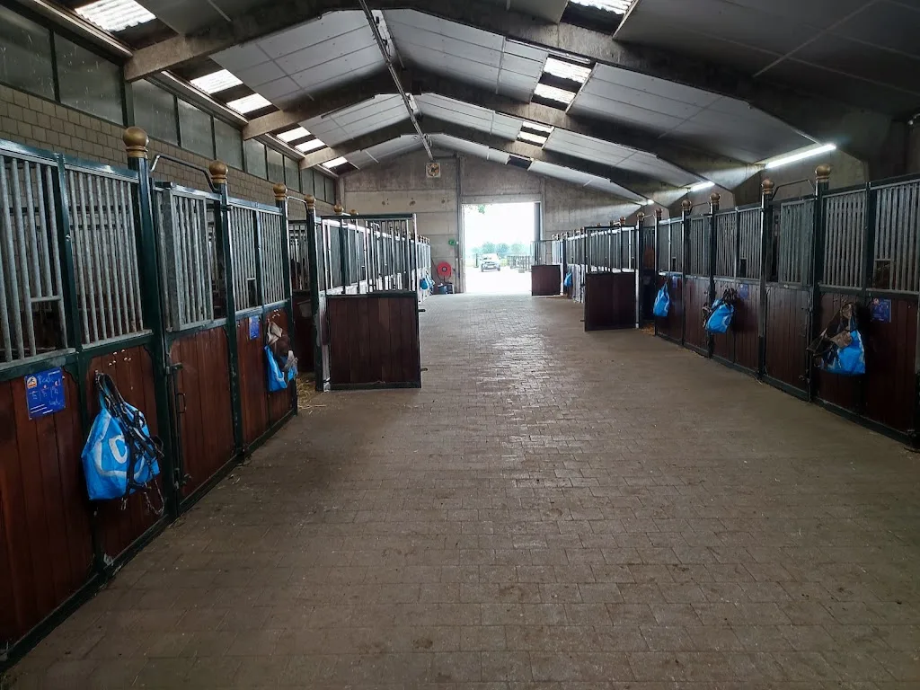 MB Dressage Stables - foto 1
