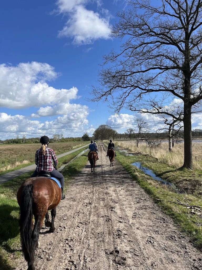 paardenverhuur - foto 2