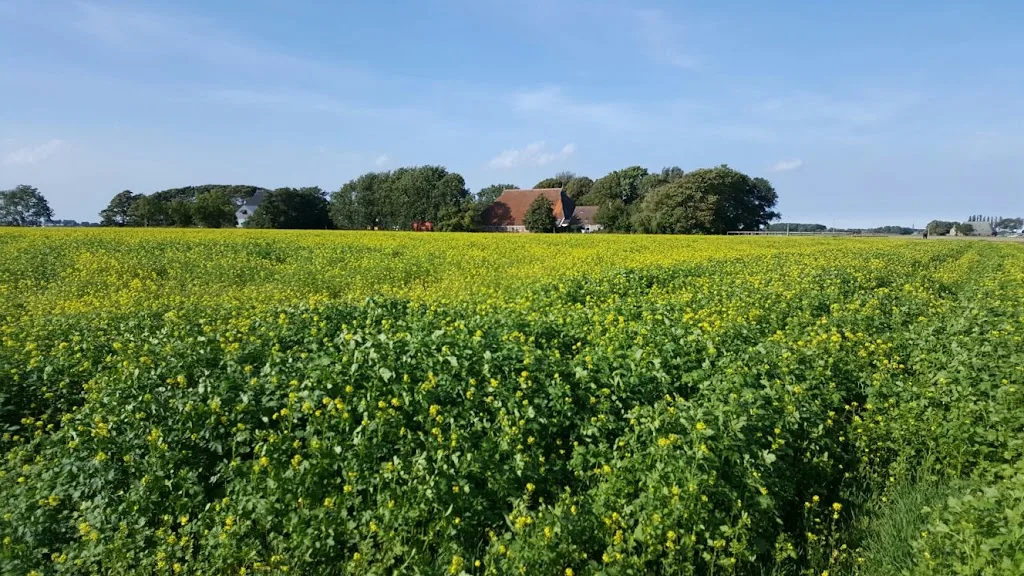 Nella Bijlsma - foto 1